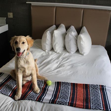 Pilgrim House Hotel Provincetown Buitenkant foto